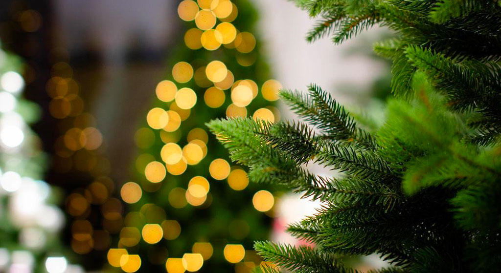Natale 2019, in Calabria vince la tradizione: cenone a casa