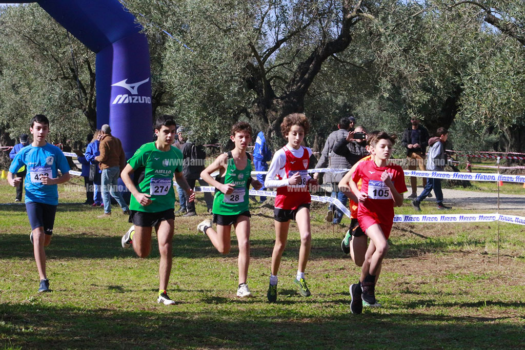 cross-4.jpg