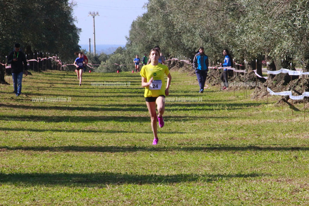 cross-7.jpg
