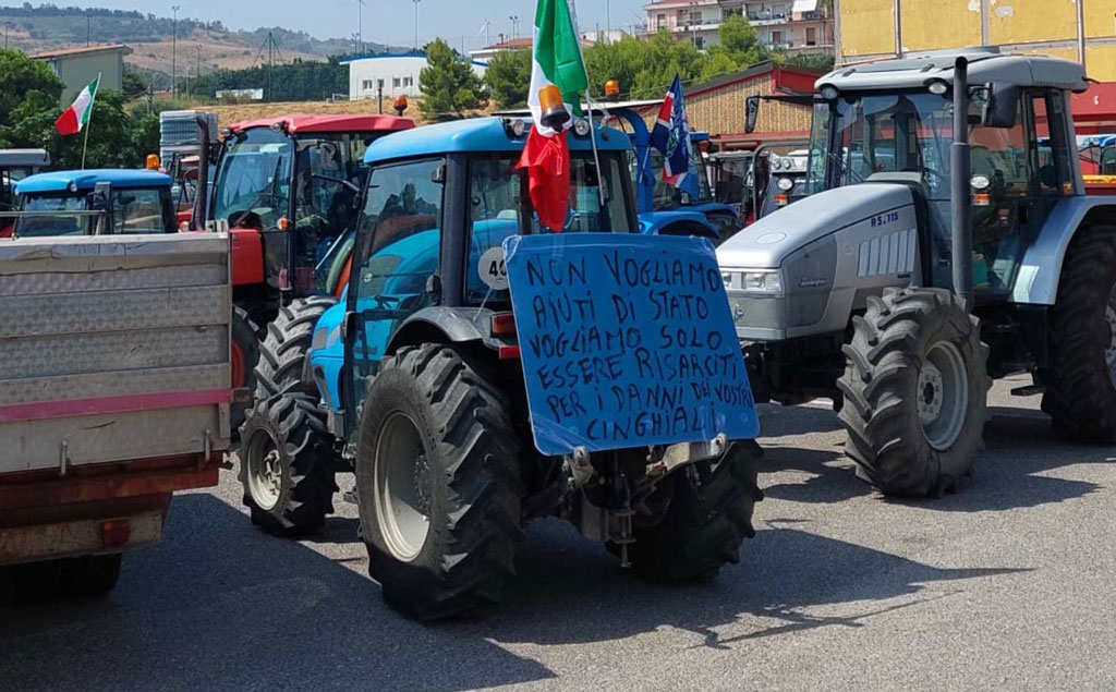 crotone-trattori-in-strada-per-protesta-i-cinghiali-ci-hanno-preso-tutto-scaled_c34bc.jpg