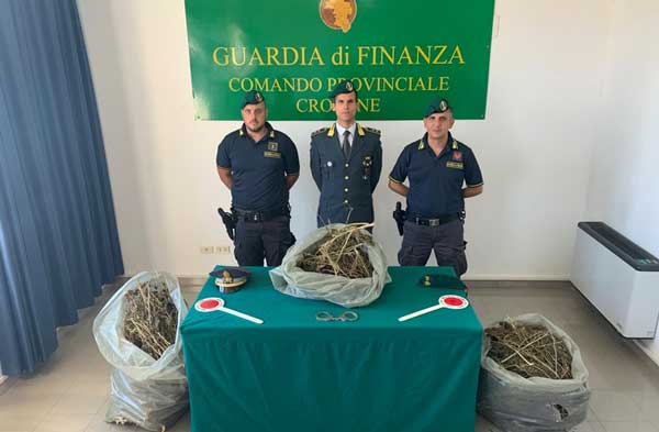 Sorpresi a confezionare 13 kg di marijuana, arrestati nel crotonese
