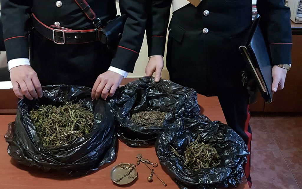Aveva in casa 360 grammi di marijuana, arrestato a Cosenza
