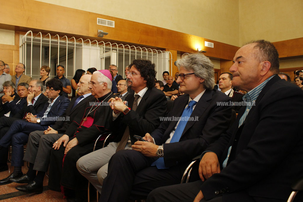 curcio-3.jpg