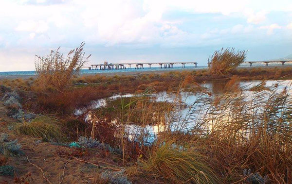 Dibattito pubblico sull'ambiente organizzato da Costa Nostra il 14 agosto a Curinga
