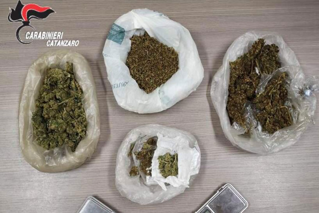 Marijuana in un bar di Acconia di Curinga, un arresto 