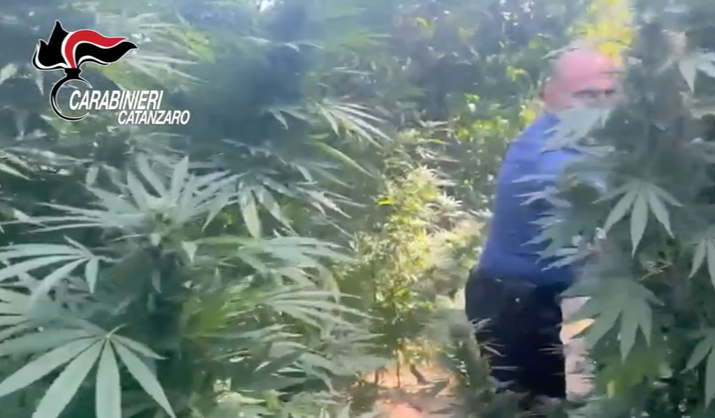 Trovato con droga e arma clandestina, un arresto a Guardavalle