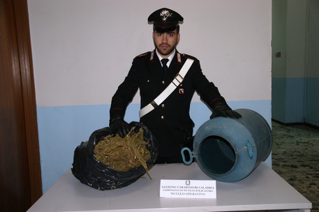 Scoperti oltre 2 Kg marijuana in un casolare abbandonato del crotonese
