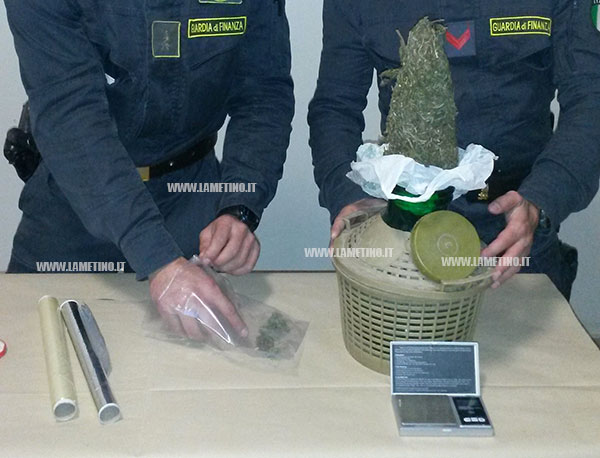 Lamezia: Aveva 253 grammi di marijuana nascosti in una damigiana, arrestato 19enne