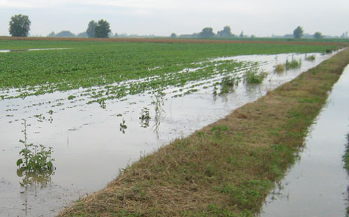 Regione, danni maltempo su agricoltura tra il 2015 e 2017: concluso primo livello istruttorio