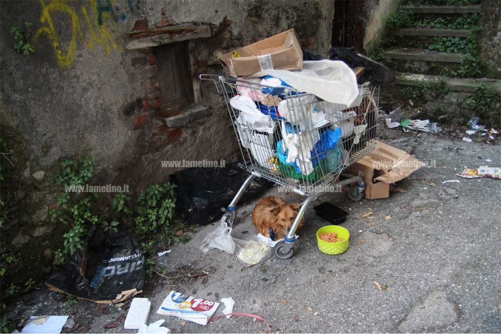 Lamezia, ancora rifiuti e degrado nei dintorni di piazza Mazzini 