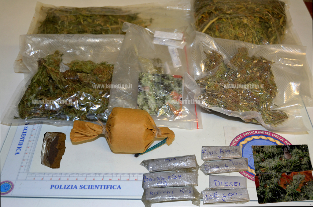 Lamezia: aveva droga e bomba carta in casa, denunciato 34enne