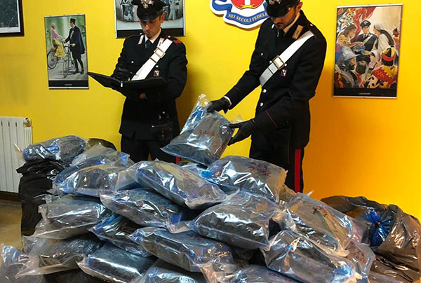 Aveva in casa 120 chili di marijuana, arrestato 28enne nel reggino