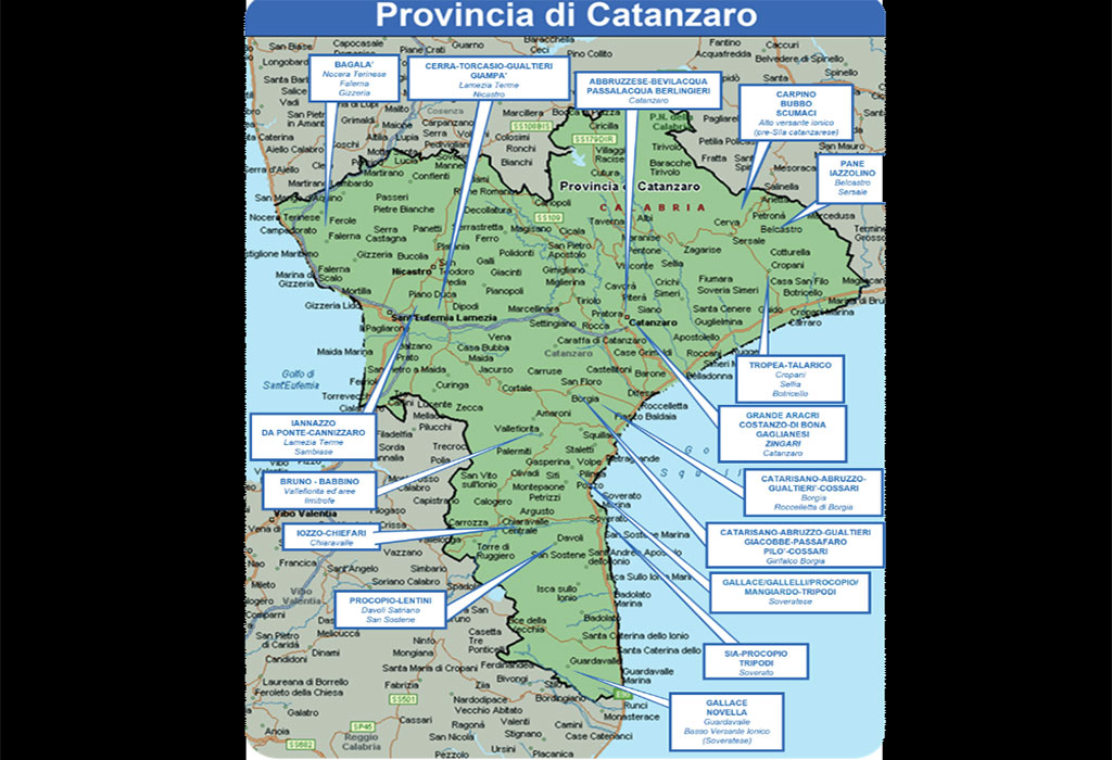 dia-lamezia2_753cc.jpg