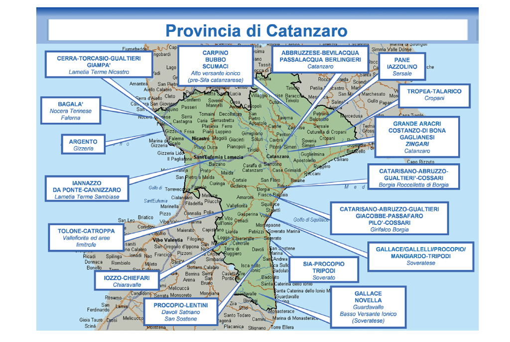 Relazione Dia sulle mafie, dal controllo su ospedale Lamezia ai grandi traffici di droga dei clan calabresi