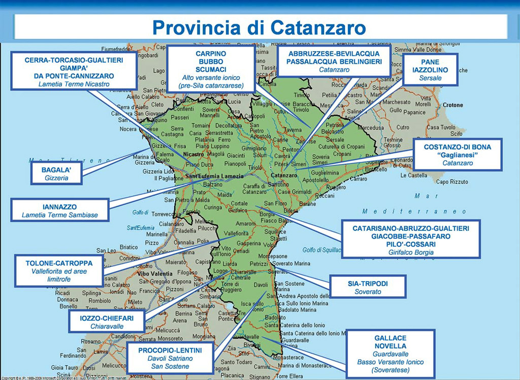 Seconda relazione semestrale Dia: tre compagini mafiose sul territorio lametino