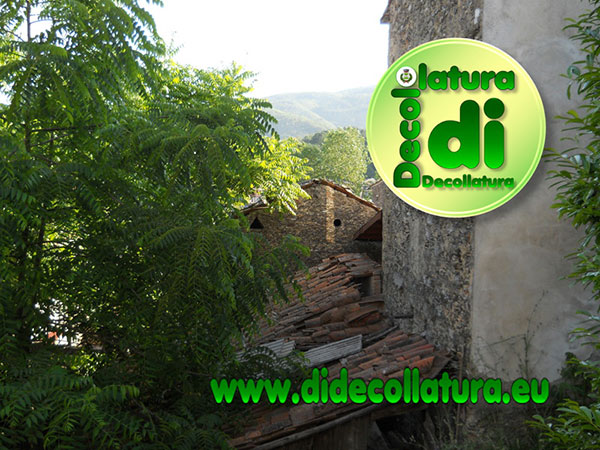 Convegno sui prodotti tradizionali a Decollatura
