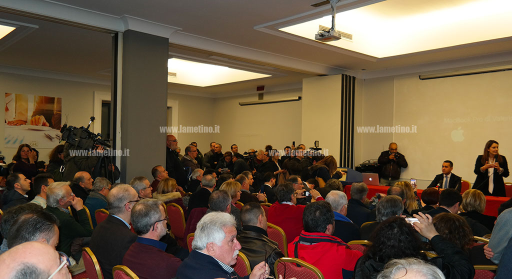 dimaio2.jpg