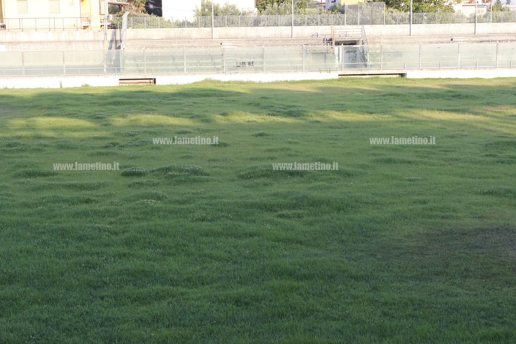 Lamezia, incuria ed erba alta allo stadio D'Ippolito