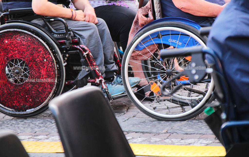disabiltygenricasediarotelle_386ed.jpg