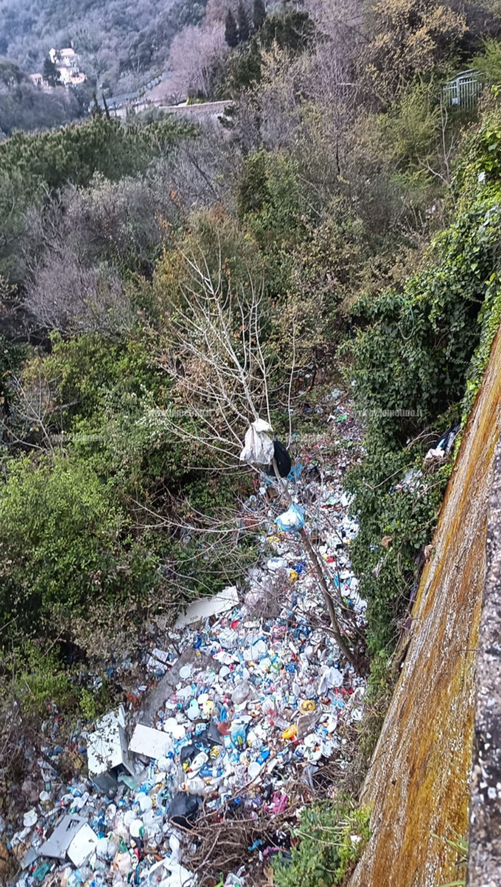discarica-2026-04-04-alle-19.38.08_3495f.jpg
