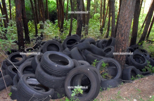 Discarica di pneumatici dentro la Pineta Comunale