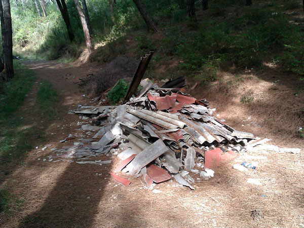 Lamezia: Discariche a cielo aperto nella Pineta in località Dosso-Comuni