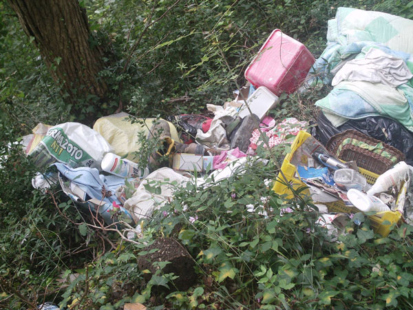 Lamezia Terme, Spatara (Forza Nuova): discarica a cielo aperto nel parco Mitoio