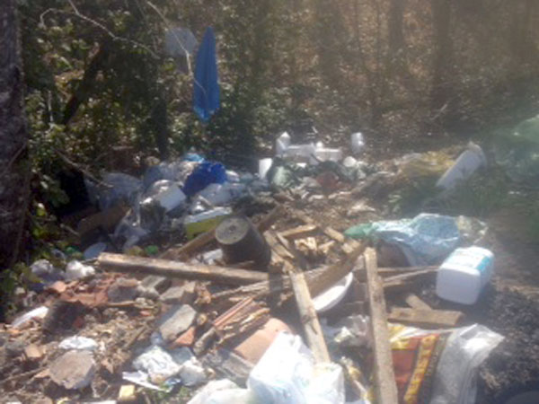 discarica-particolare-decollatura.jpg