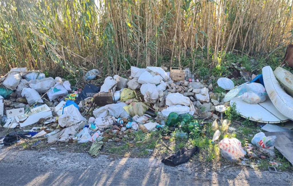 discarica-rotoli_b15f2.jpg