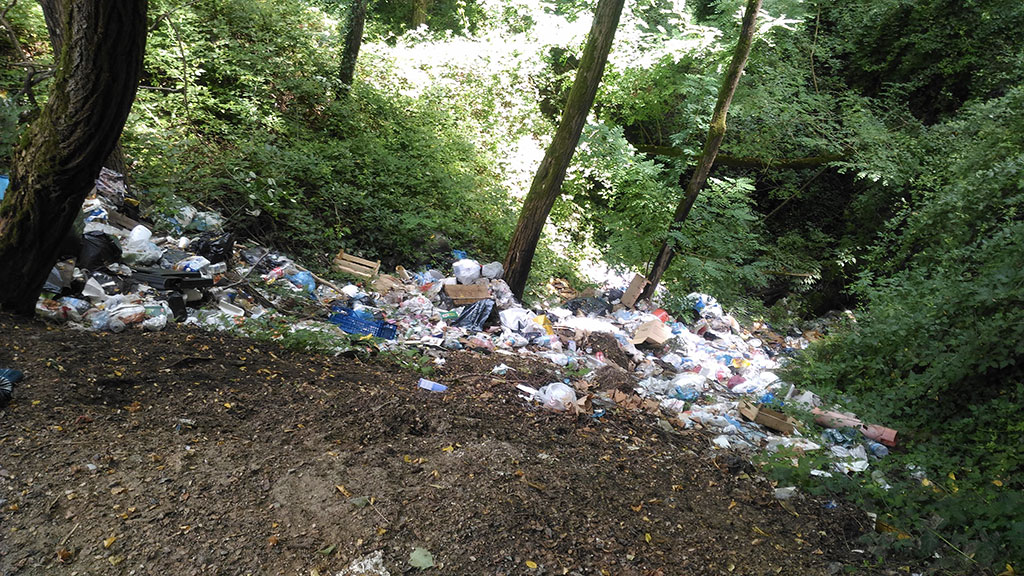 discarica-vazzano-vibo2.jpg