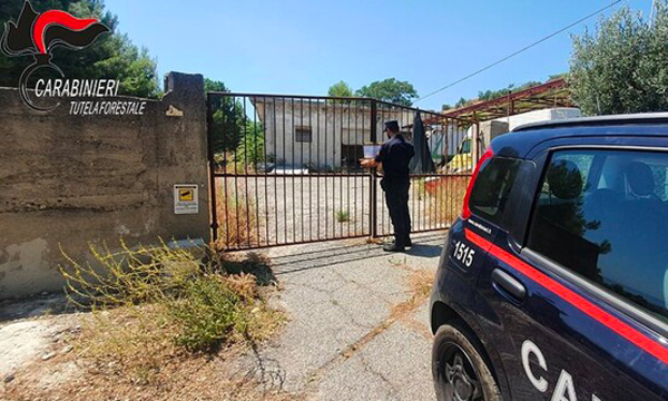 Discarica abusiva in ex mattatoio comunale, sequestrata area e denunciato dipendente ente nel Cosentino