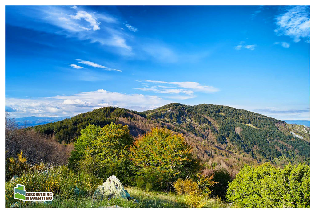 Discovering Reventino: al via "Walk & Map", concorso che racconta bellezza delle montagne in uno scatto