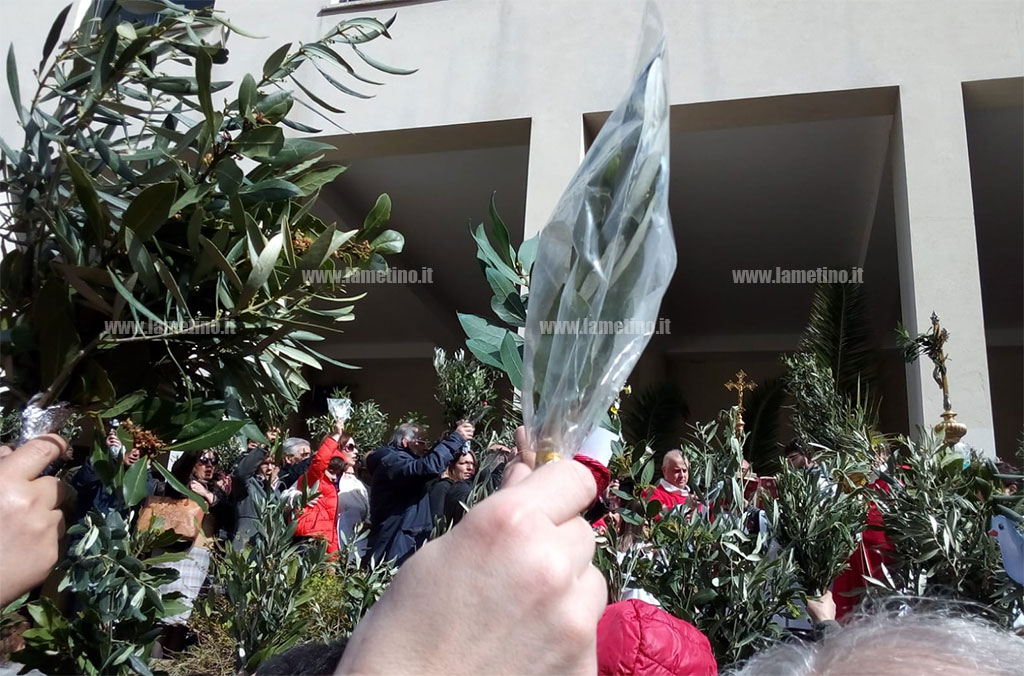 domenica-delle-palme-14042019-palem.jpg
