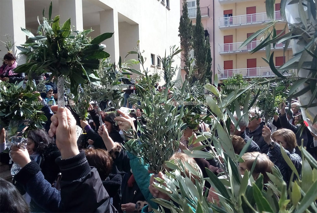 domenica-delle-palme-140420197.jpg