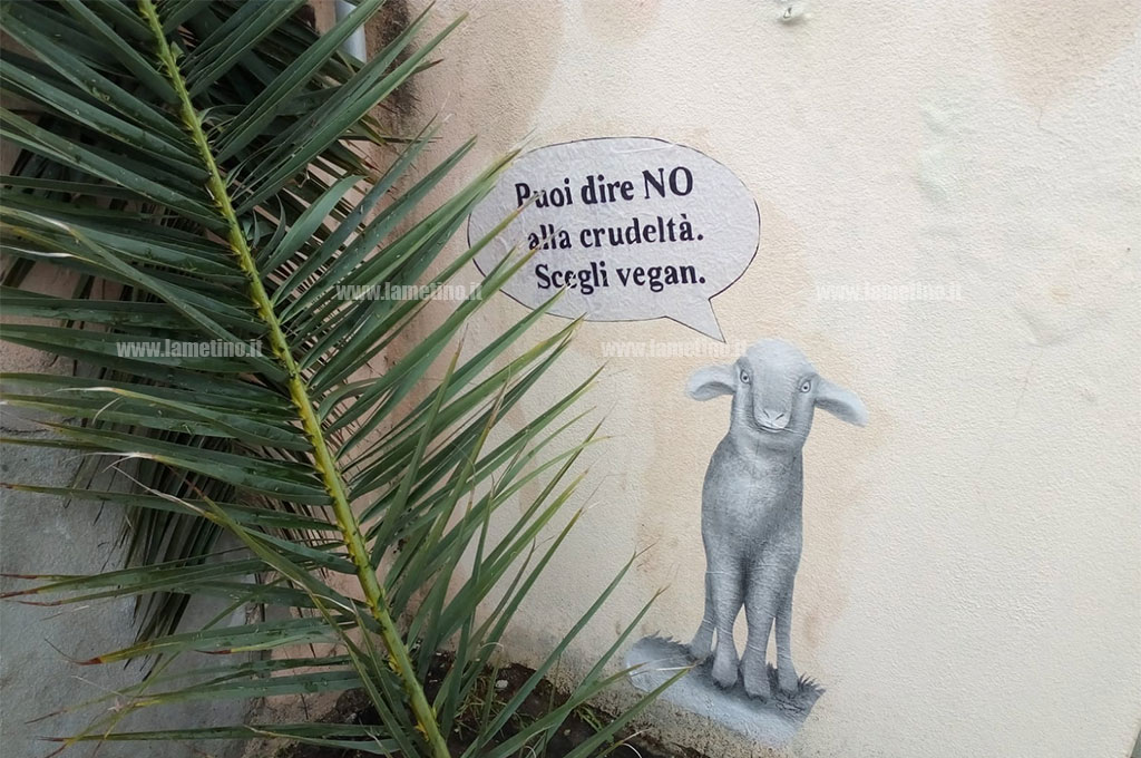 domenica-delle-palme-140420198.jpg