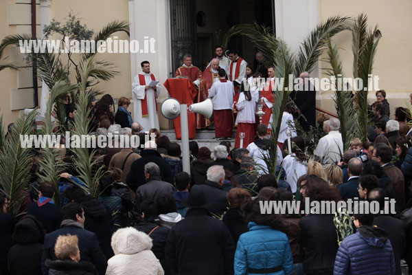 domenica-delle-palme-2013-bis.jpg