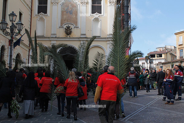 domenica-palme-2015-4.jpg
