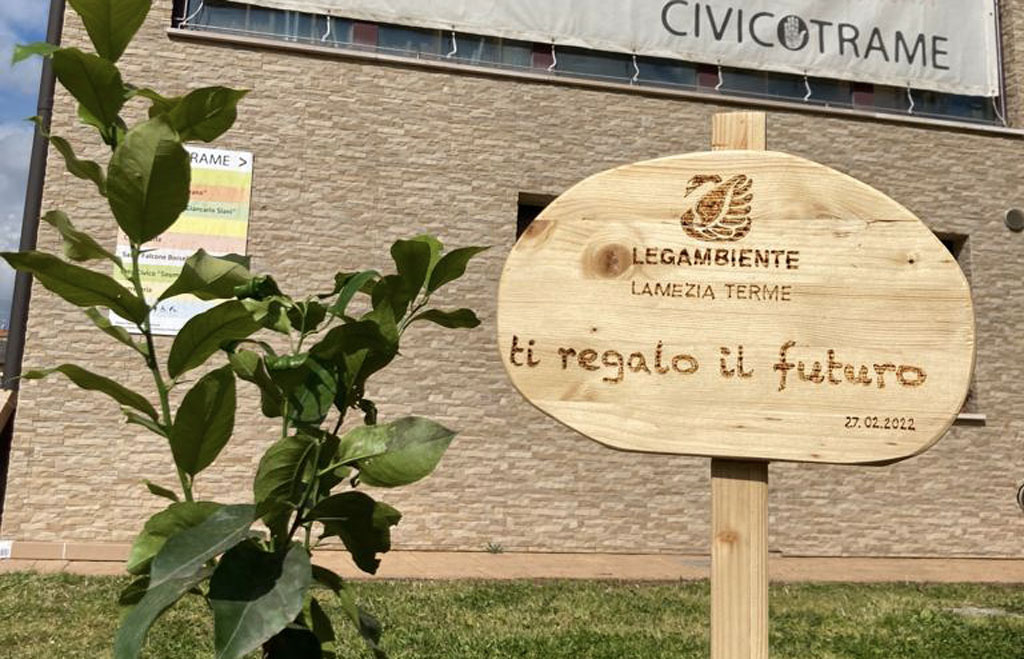 Lamezia, Legambiente dona 30 nuovi alberi al Civico Trame