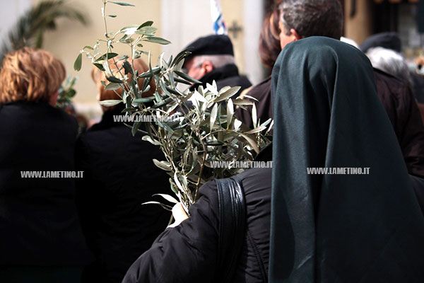 domenica1_palme2013.jpg