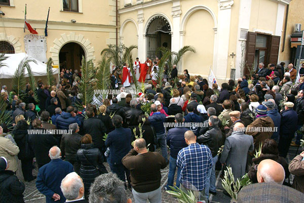 domenica2_palme2013.jpg