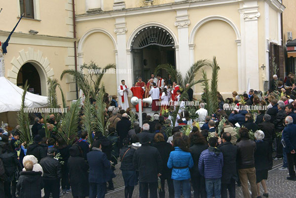 domenica3_palme2013.jpg