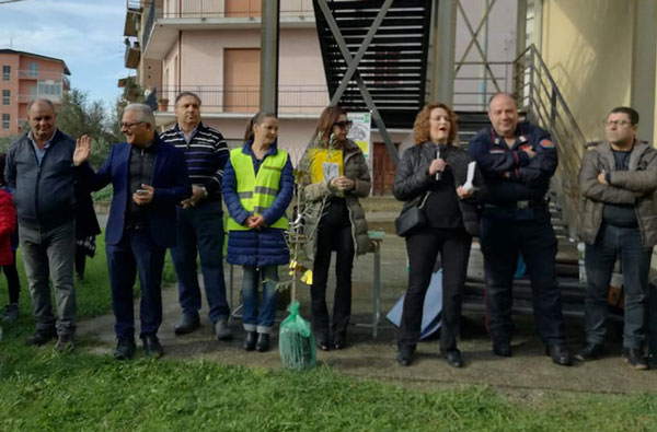 Lamezia, donato olivo all’istituto ‘Nicotera- Costabile’ in occasione della “Giornata Nazionale dell’Albero”