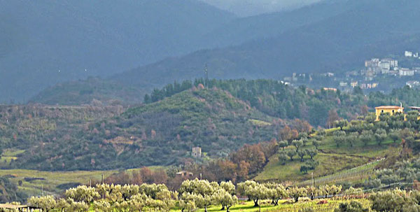 Calabria: Furti in frazione Cosenza, comunità si mobilita