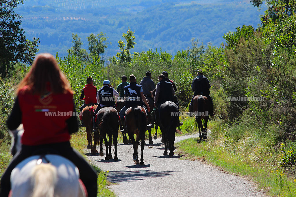 Lamezia, prima passeggiata equestre al parco Dossi Comuni