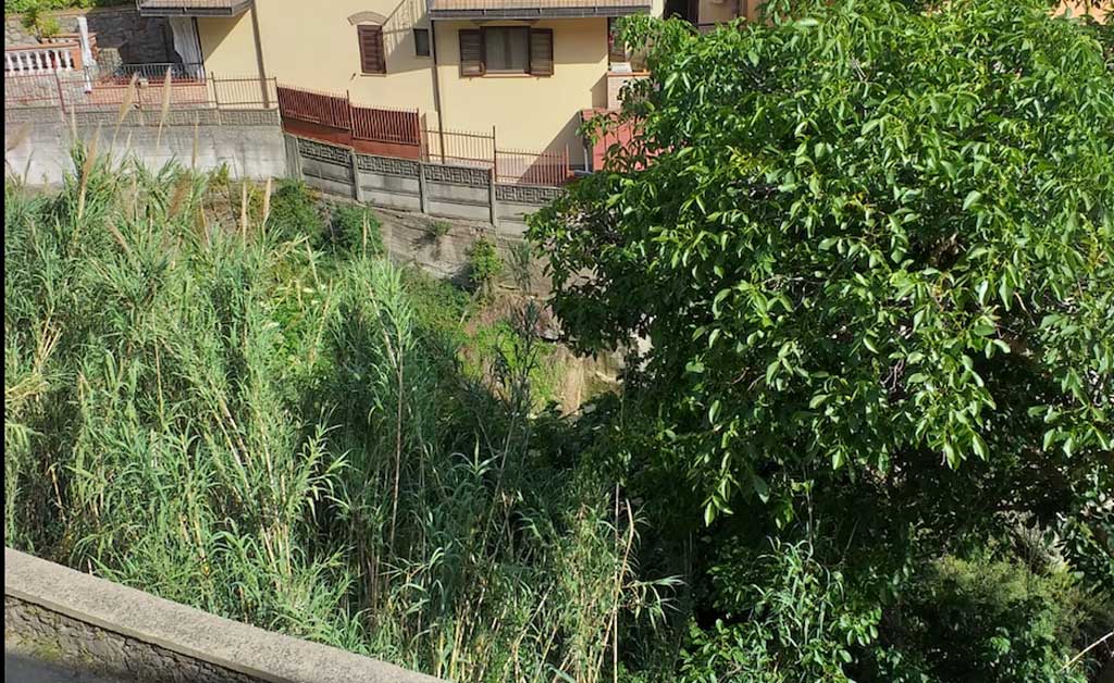doto-torrente-canne-2019.jpg