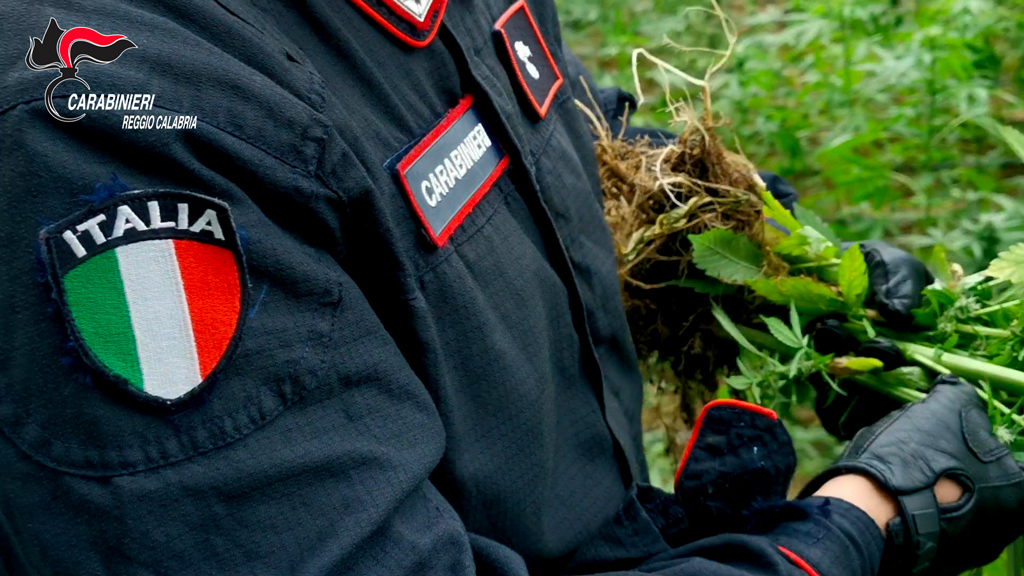 Nascondeva 8 chili di marijuana in un sacco nero, arrestato 58enne a Palmi