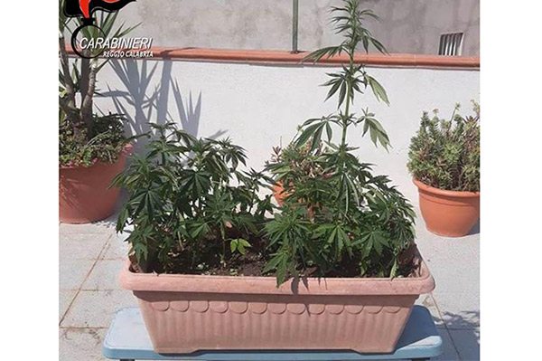 droga-arresto-gioiosa-200619.jpg