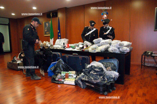 droga-carabinieri-cinofili-cosenza-vibo.jpg