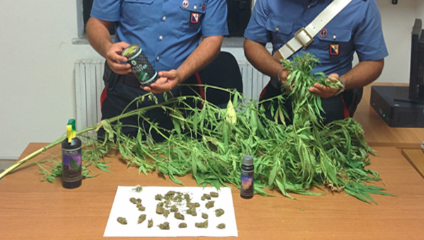Calabria: Nascondeva droga in una serra e in casa, arrestato 