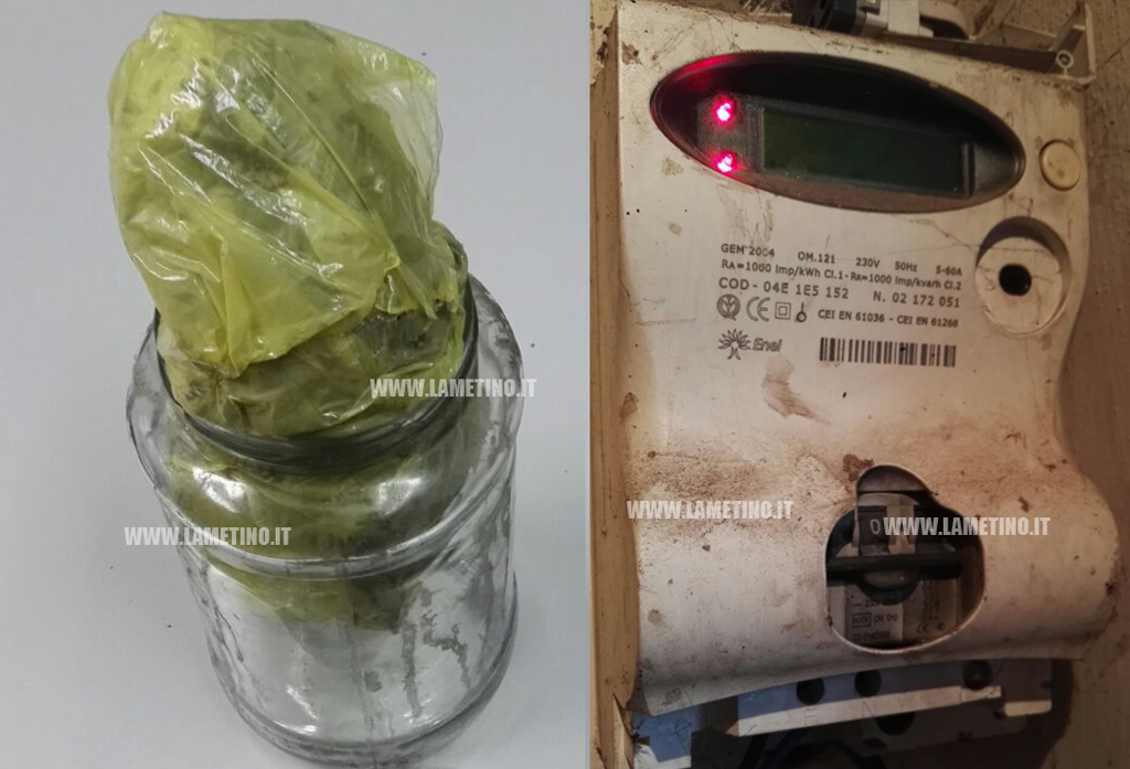 Lamezia, arrestato 24enne per coltivazione marijuana e furto aggravato